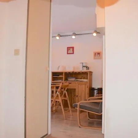 Apartment T2 De 23m² A Bernex, Proche Pistes Et Randonnees, Avec Balcon Et Equipe - Fr-1-498-34